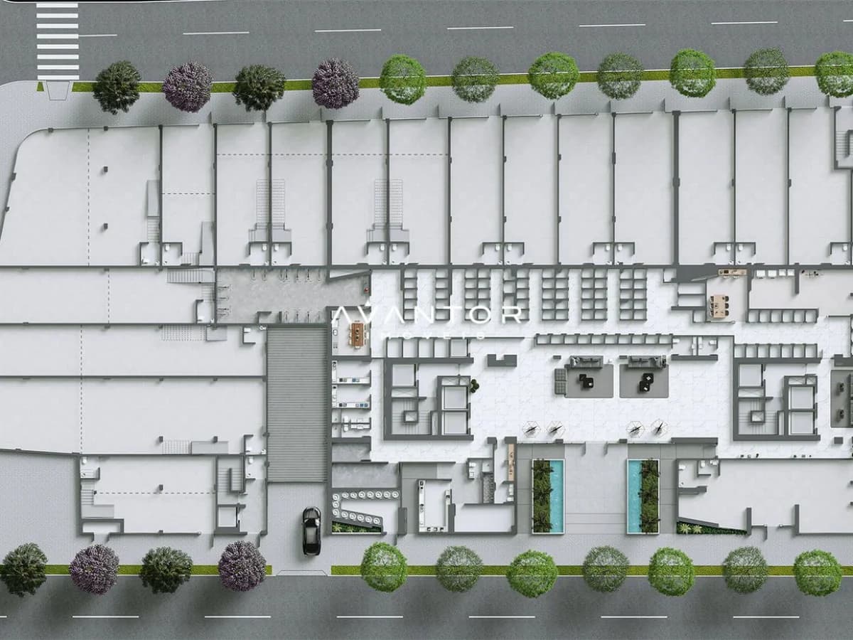 Planta 11 — Ápice