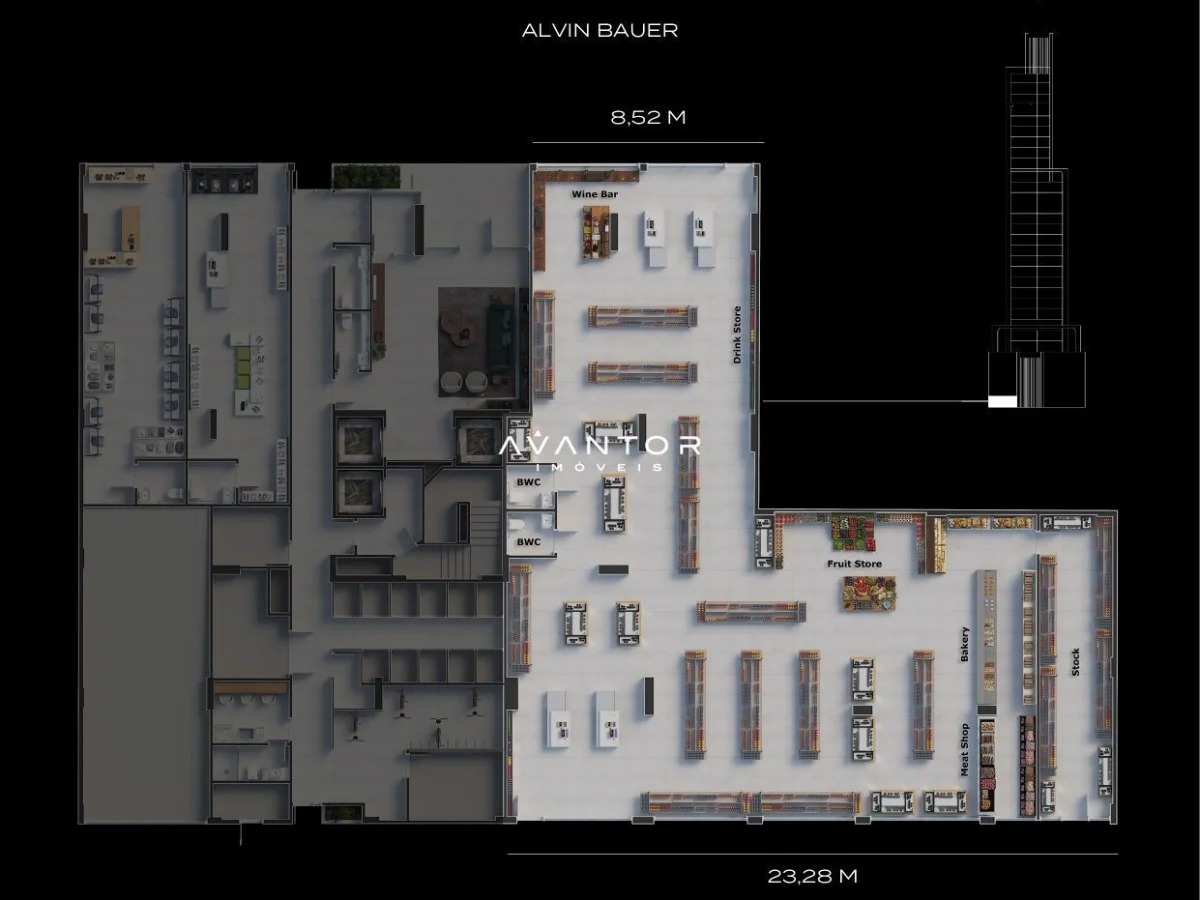 Planta 4 — Timeless
