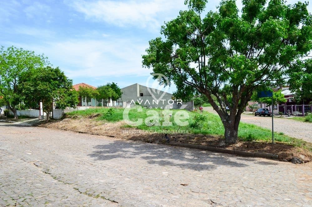 Terreno com árvores e estrutura — Terreno à venda em Camobi, Santa Maria/RS