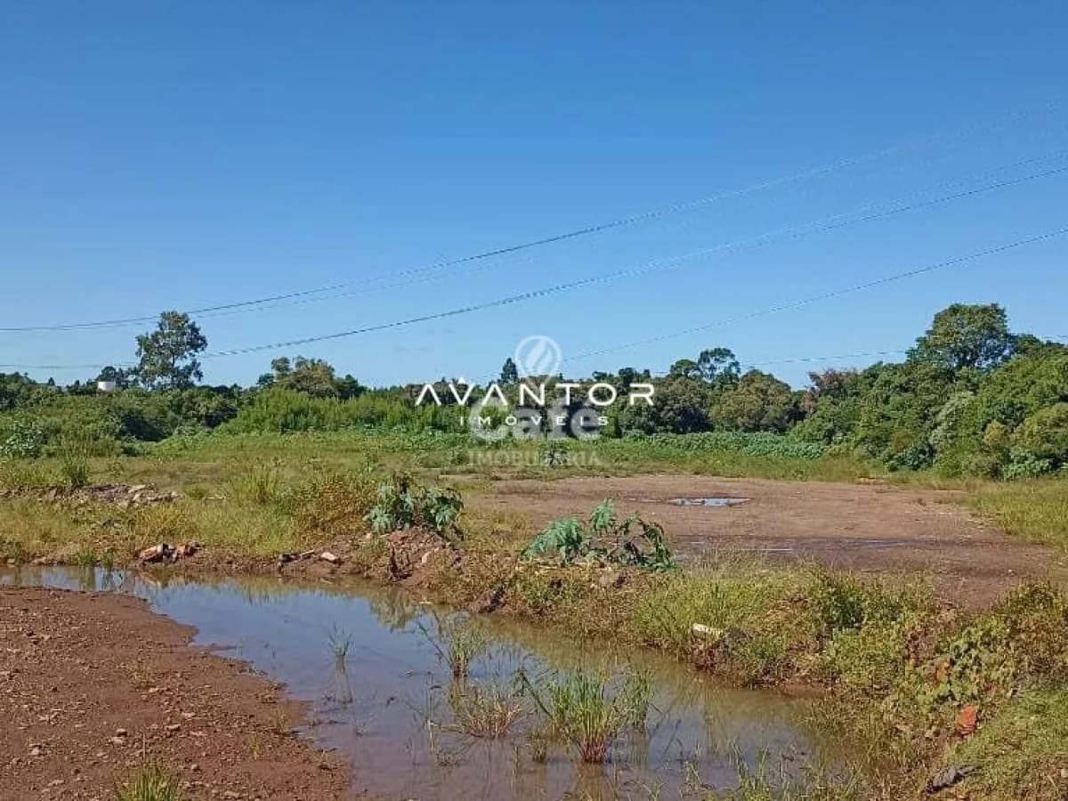Terreno com vegetação e área alagada — Terreno à venda em Duque de Caxias, Santa Maria/RS
