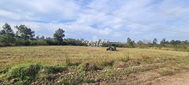 Terreno rural com plantação e maquinário agrícola — Terreno à venda em Diácono João Luiz Pozzobon, Santa Maria/RS