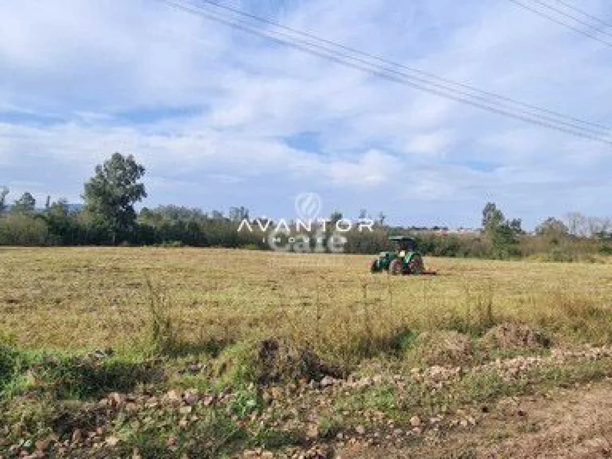 Terreno rural com plantação e maquinário agrícola — Terreno à venda em Diácono João Luiz Pozzobon, Santa Maria/RS