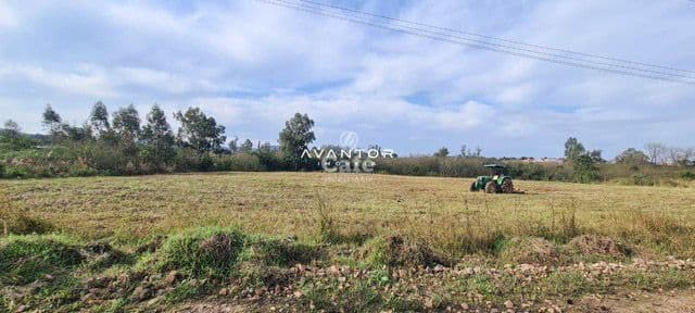 Terreno à venda em Diácono João Luiz Pozzobon, Santa Maria/RS — foto 4 de 4