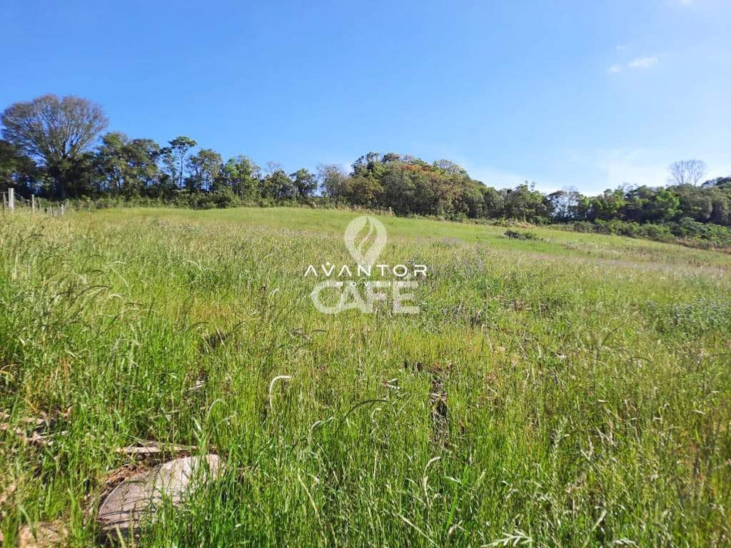 Campo à venda em Silveira Martins, Silveira Martins/RS — foto 3 de 9