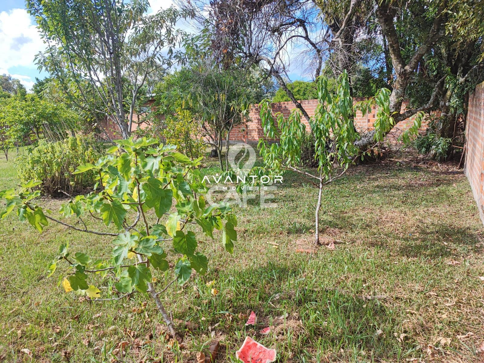 Casa com 2 quartos à venda em Parque Serrano I, Itaara/RS — foto 6 de 24