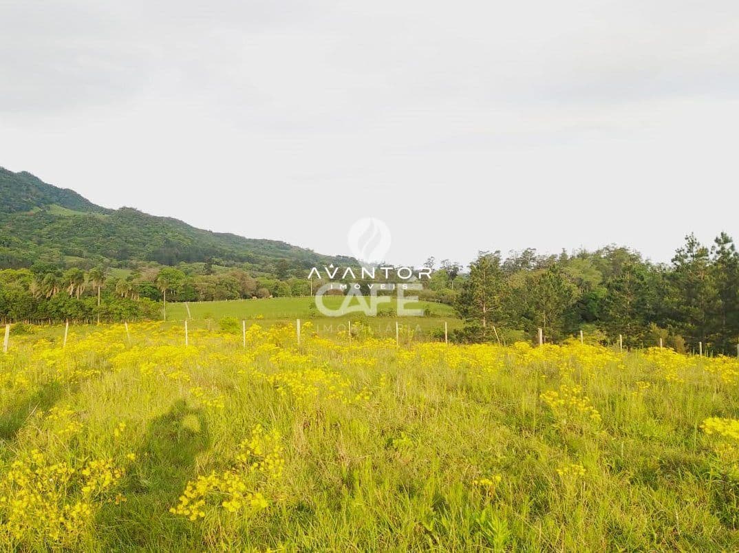 Terreno à venda em Zona rural, São João do Polêsine/RS — foto 4 de 4