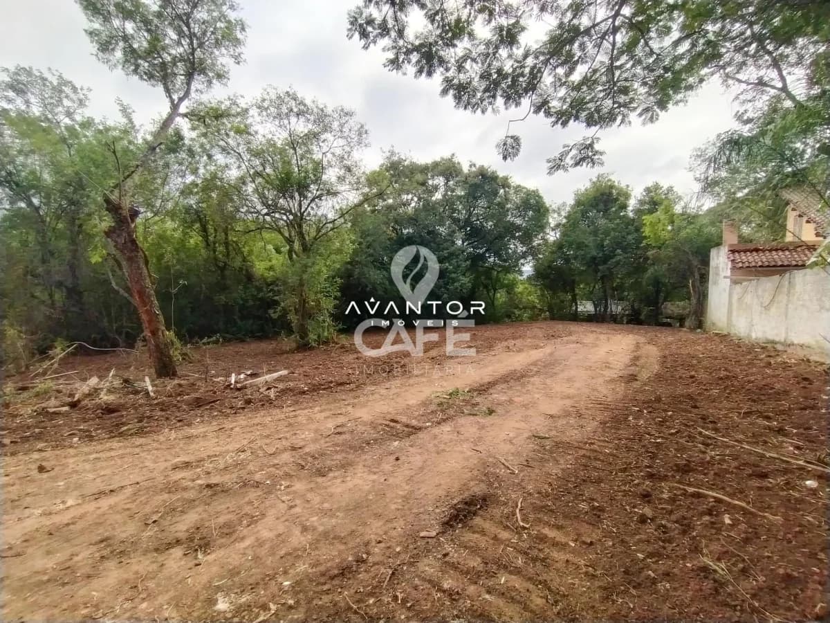 Terreno com árvores e área plana — Terreno à venda em Nossa Senhora das Dores, Santa Maria/RS