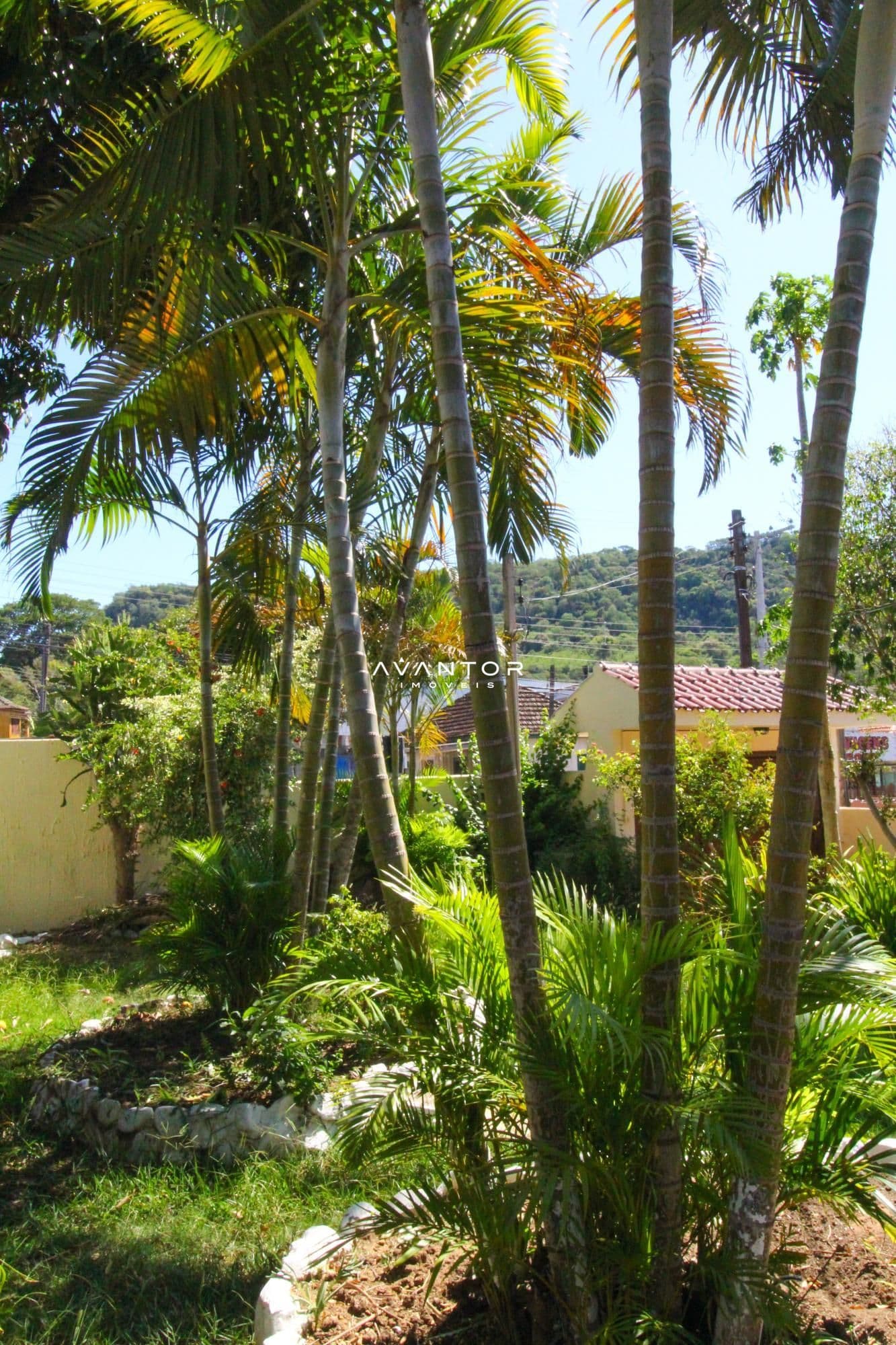 Casa com 4 quartos à venda em Itararé, Santa Maria/RS — foto 3 de 39