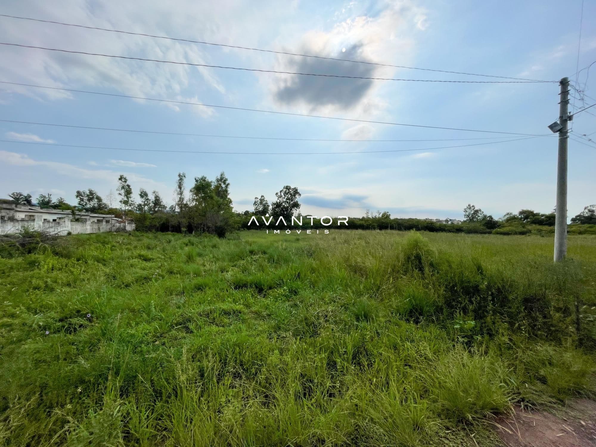 Terreno com vegetação e infraestrutura — Terreno à venda em Diácono João Luiz Pozzobon, Santa Maria/RS
