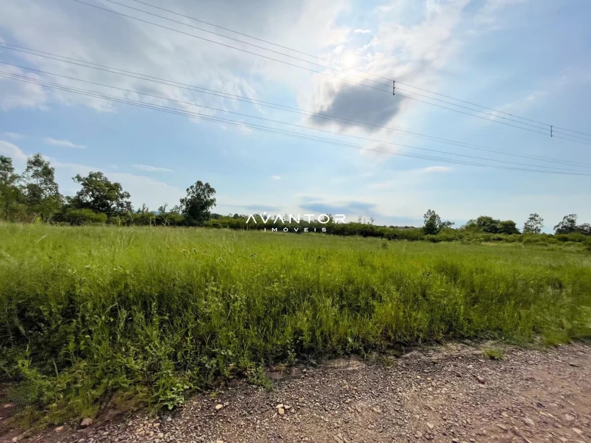 Terreno com vegetação e vista para o campo — Terreno à venda em Diácono João Luiz Pozzobon, Santa Maria/RS