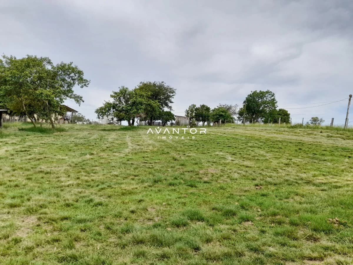 Terreno com árvores e pasto — Chácara com 3 quartos à venda em Zona Rural, São Sepé/RS