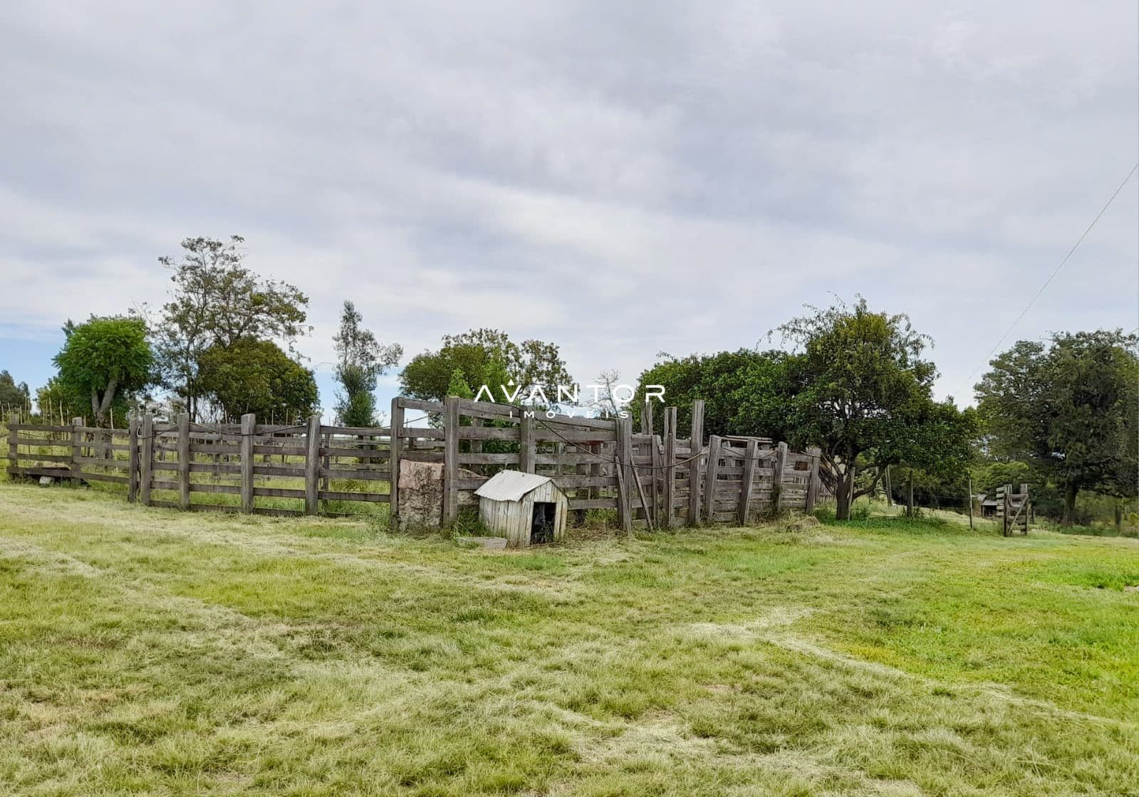 Chácara com 3 quartos à venda em Zona Rural, São Sepé/RS — foto 3 de 12