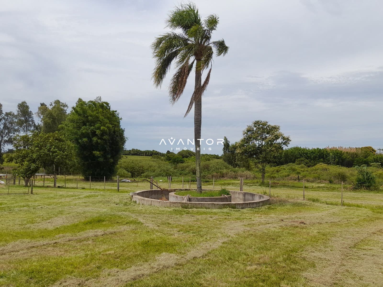 Chácara com 3 quartos à venda em Zona Rural, São Sepé/RS — foto 4 de 12