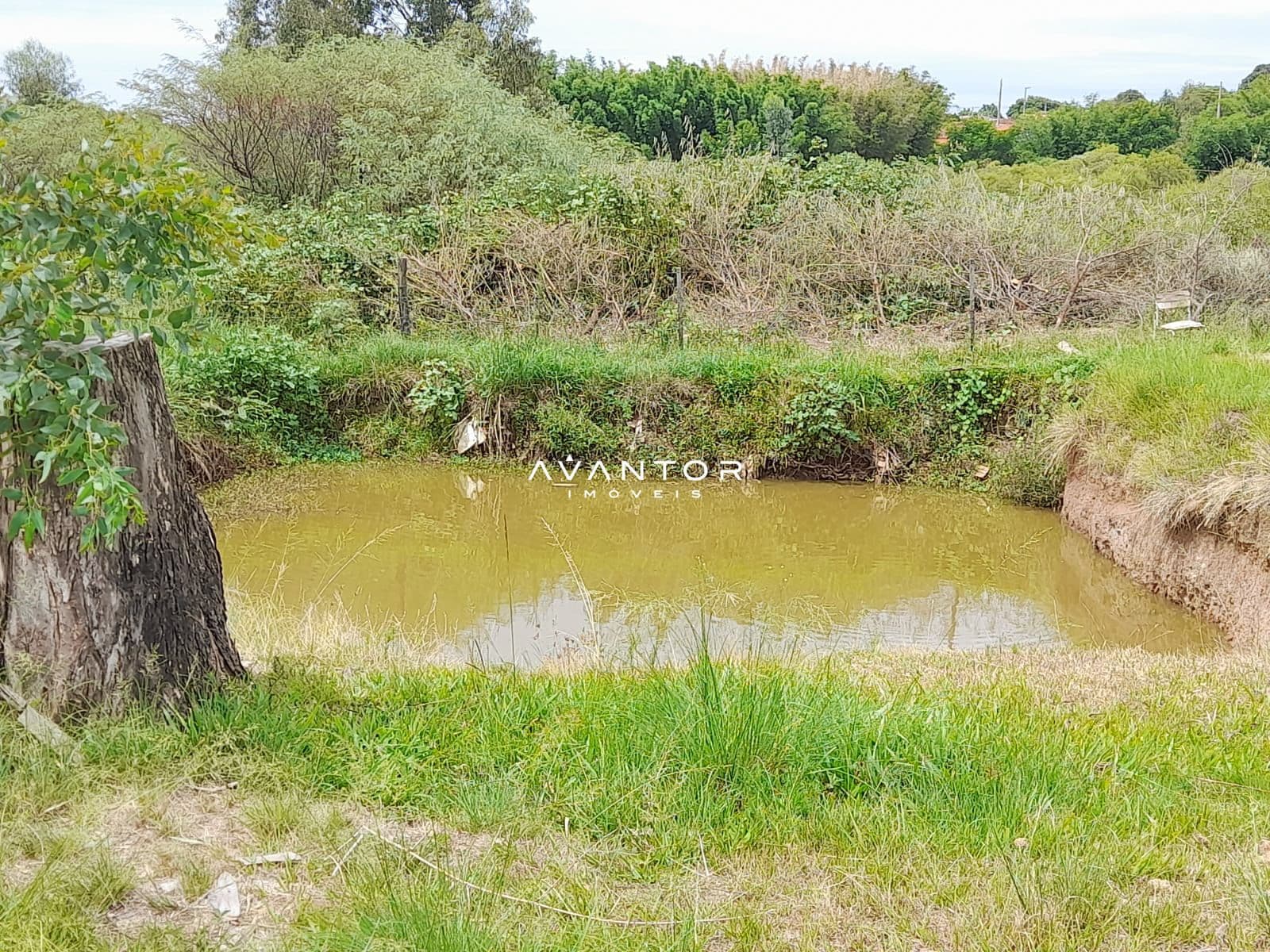 Chácara com 3 quartos à venda em Zona Rural, São Sepé/RS — foto 6 de 12