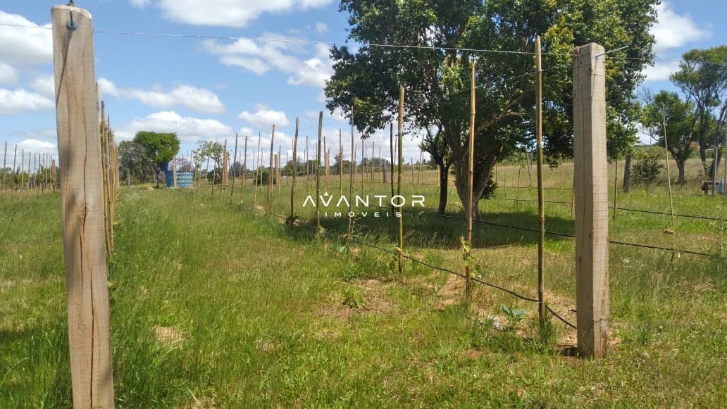 Chácara com 3 quartos à venda em Zona Rural, São Sepé/RS — foto 11 de 12