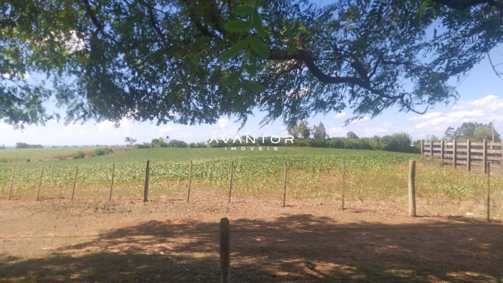 Fazenda com 3 quartos à venda em Zona Rural, São Sepé/RS — foto 4 de 10