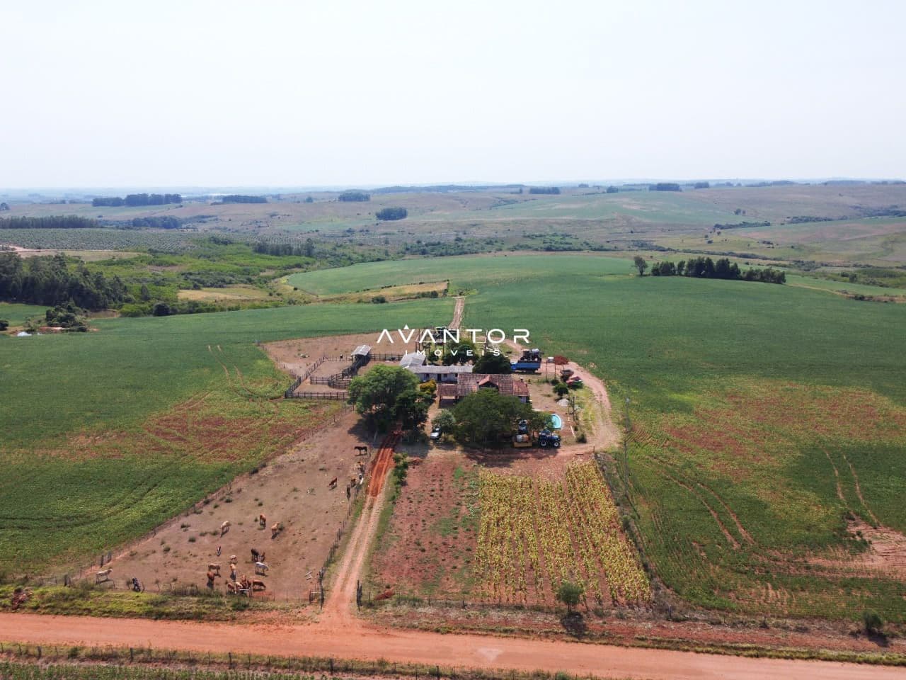 Fazenda com 3 quartos à venda em Zona Rural, São Sepé/RS — foto 6 de 10
