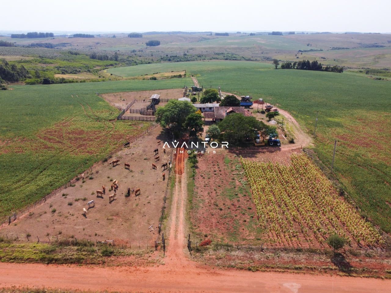 Fazenda com 3 quartos à venda em Zona Rural, São Sepé/RS — foto 9 de 10