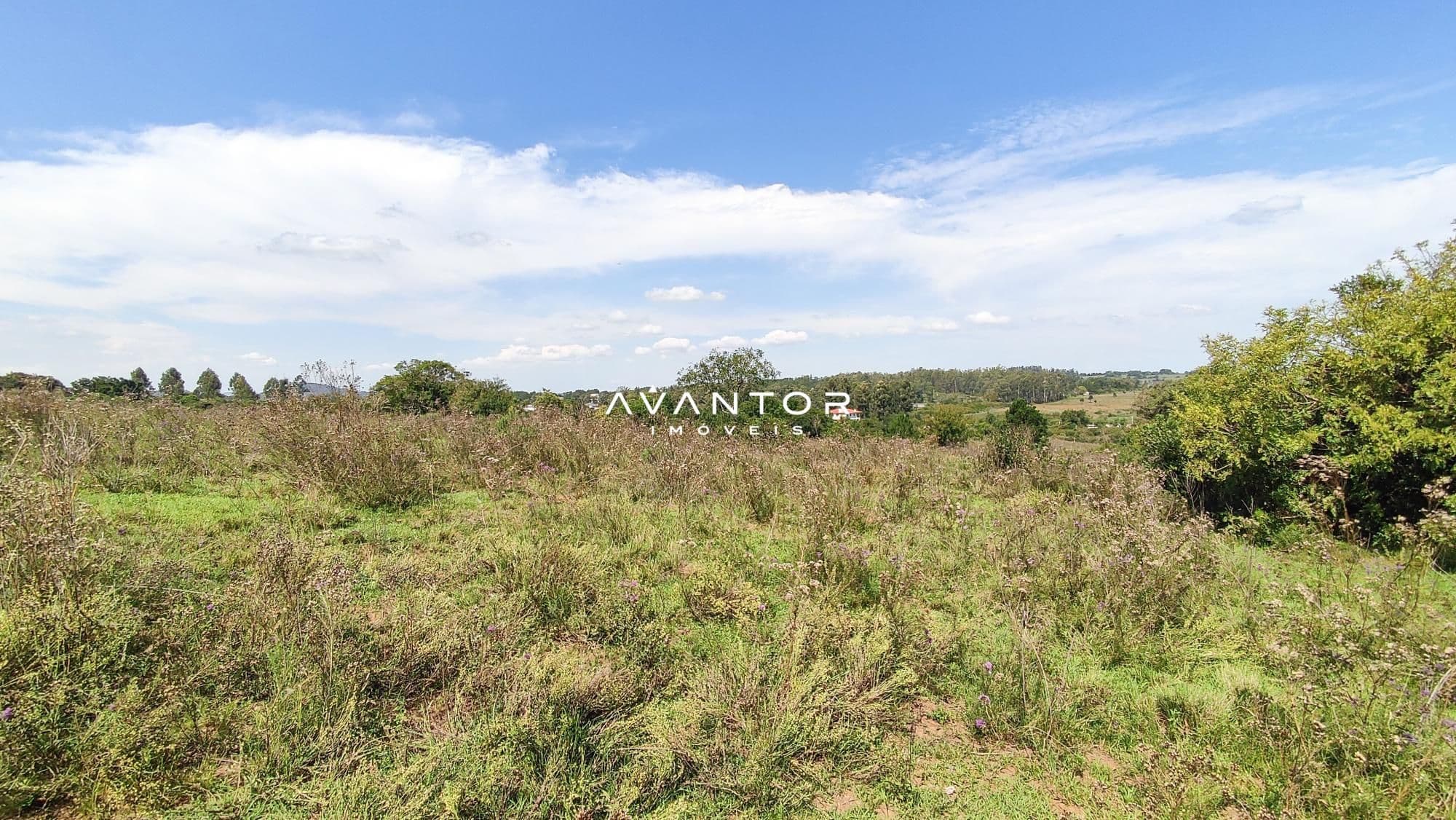 Terreno com vegetação nativa — Campo à venda em Boi Morto, Santa Maria/RS