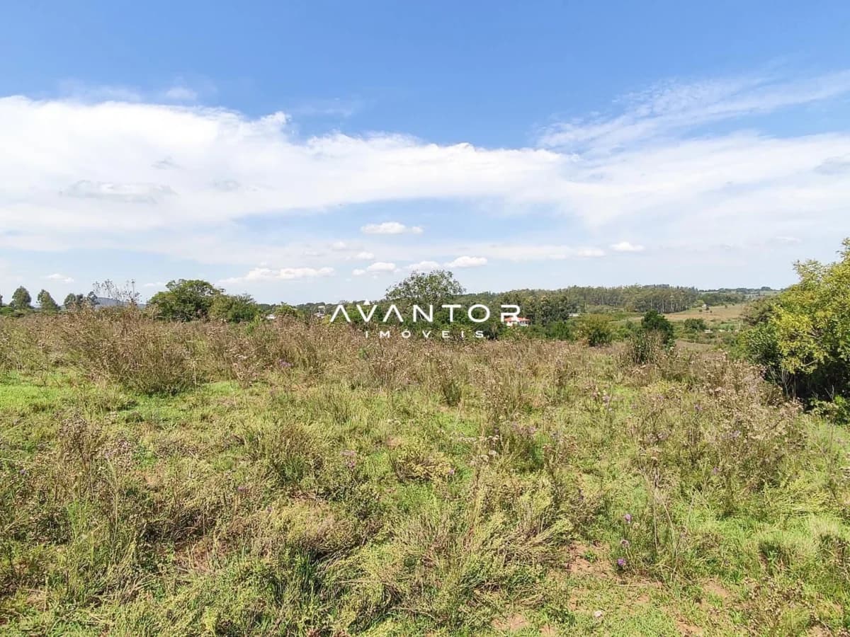 Terreno com vegetação nativa — Campo à venda em Boi Morto, Santa Maria/RS