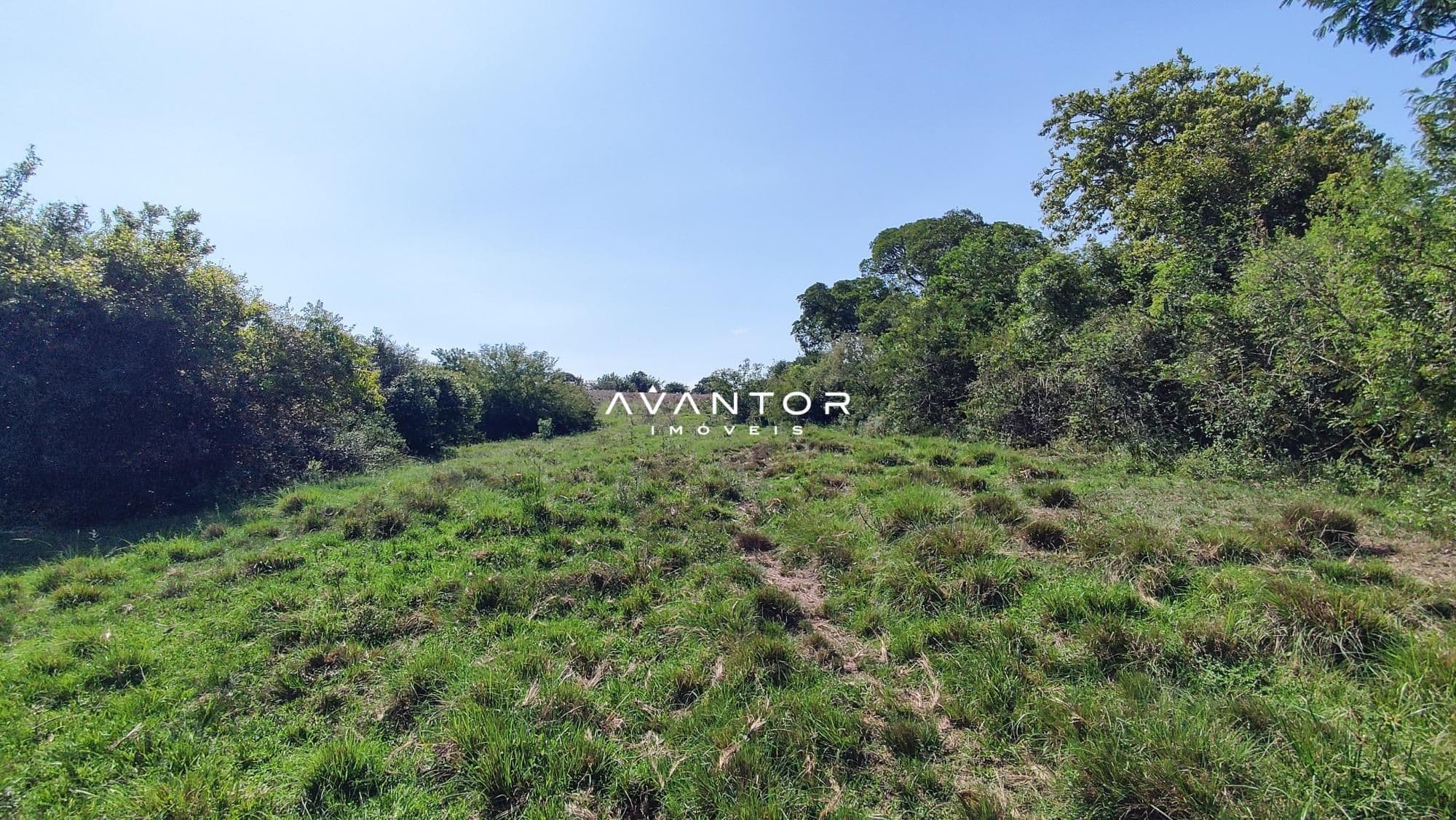 Campo à venda em Boi Morto, Santa Maria/RS — foto 5 de 10
