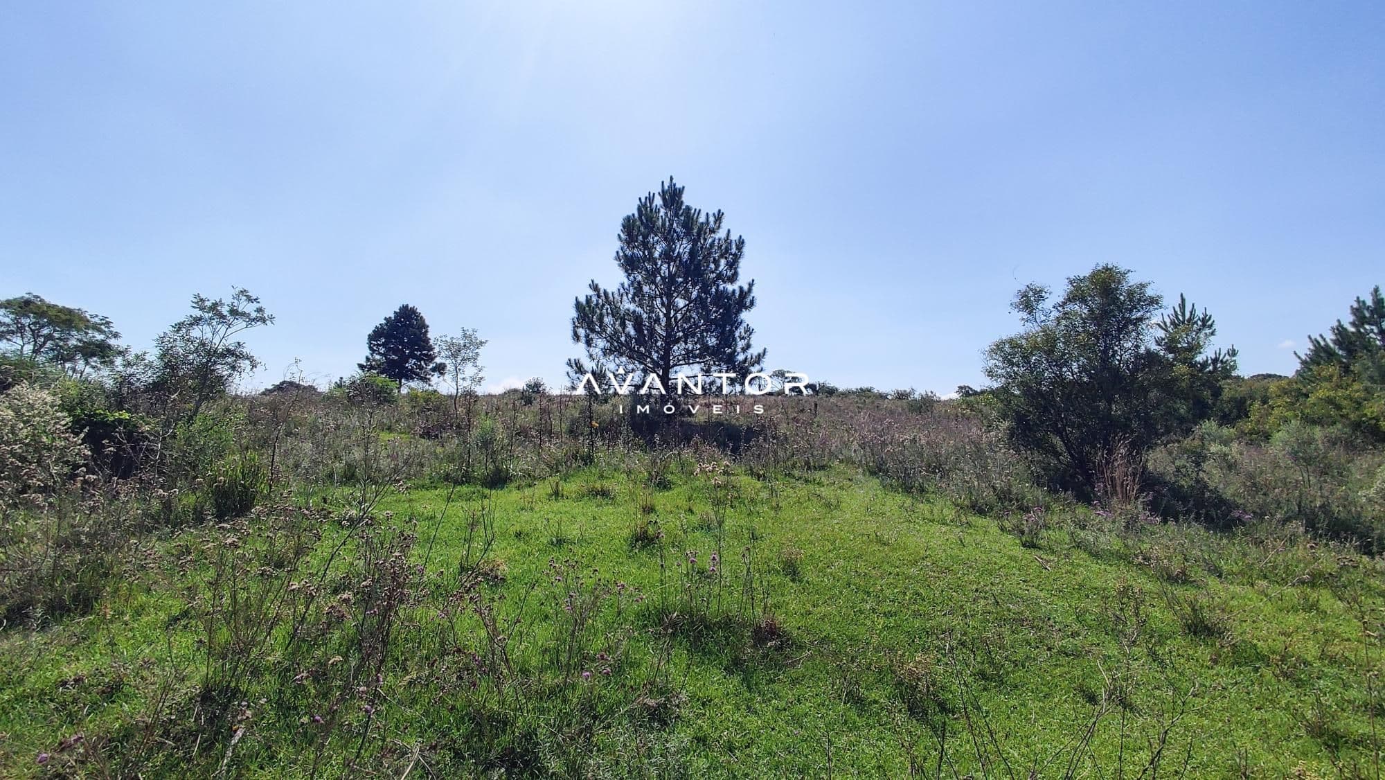 Campo à venda em Boi Morto, Santa Maria/RS — foto 6 de 10