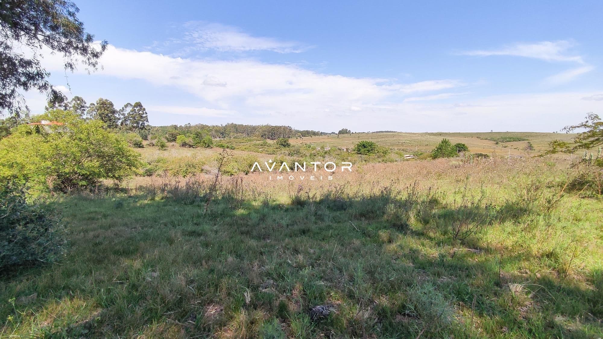 Campo à venda em Boi Morto, Santa Maria/RS — foto 7 de 10