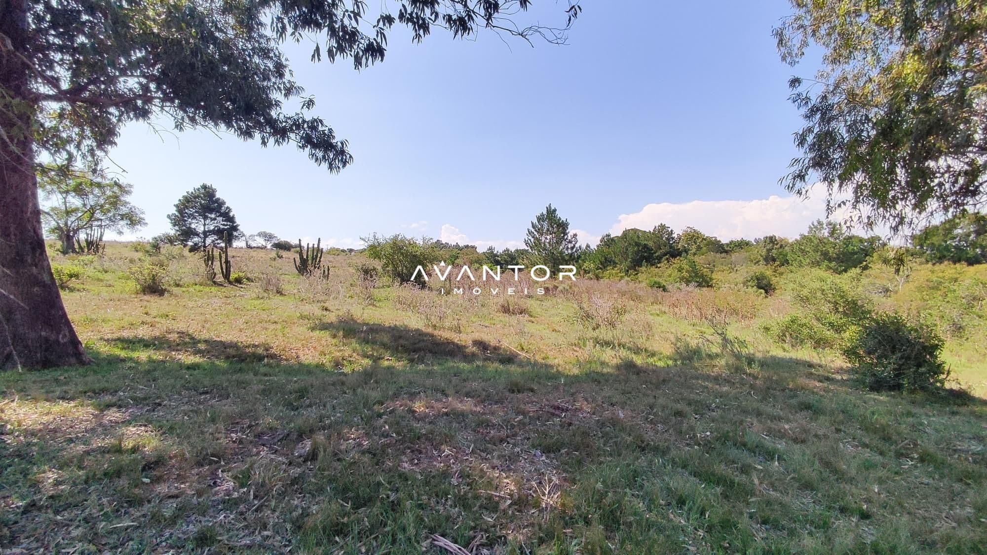 Campo à venda em Boi Morto, Santa Maria/RS — foto 8 de 10