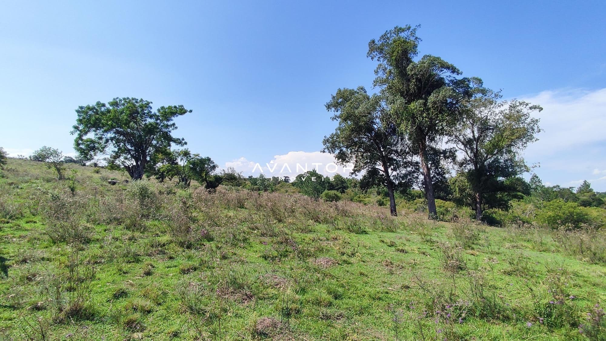 Campo à venda em Boi Morto, Santa Maria/RS — foto 9 de 10