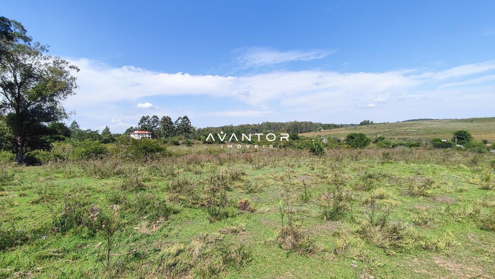 Campo à venda em Boi Morto, Santa Maria/RS — foto 10 de 10
