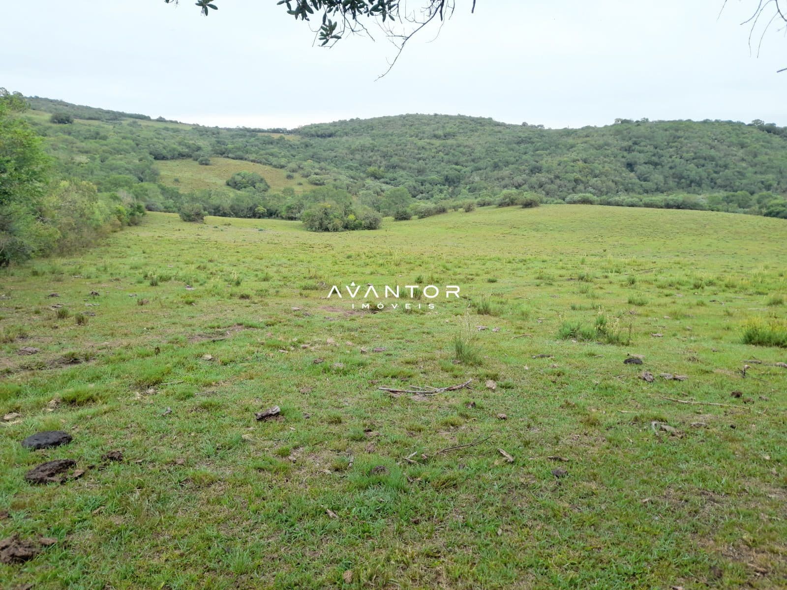 Terreno com vista para mata e colinas — Chácara com 2 quartos à venda em Zona Rural, Lavras do Sul/RS
