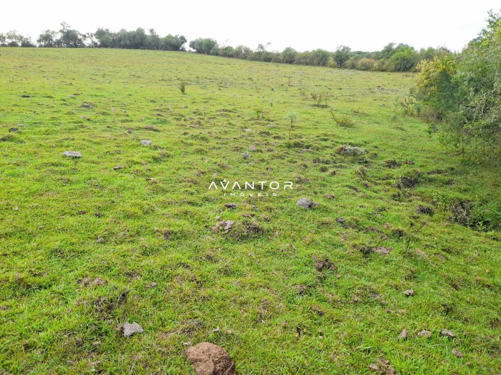 Chácara com 2 quartos à venda em Zona Rural, Lavras do Sul/RS — foto 2 de 13