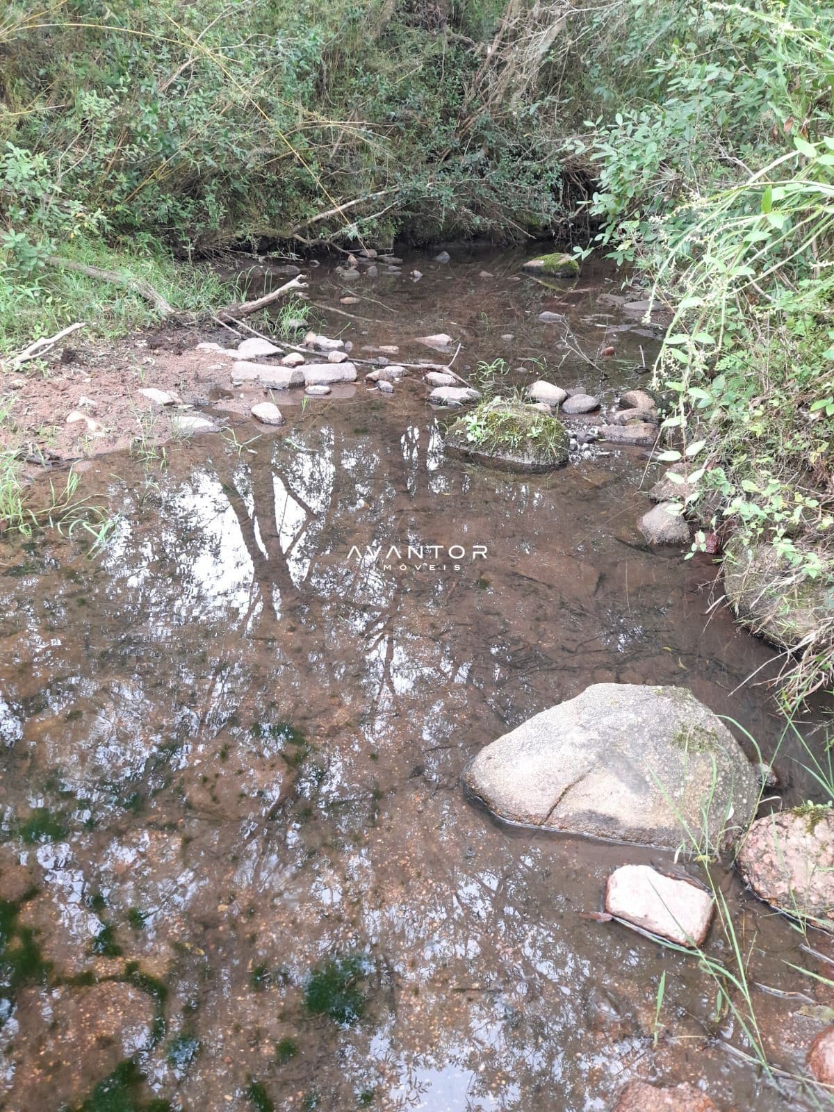 Chácara com 2 quartos à venda em Zona Rural, Lavras do Sul/RS — foto 4 de 13