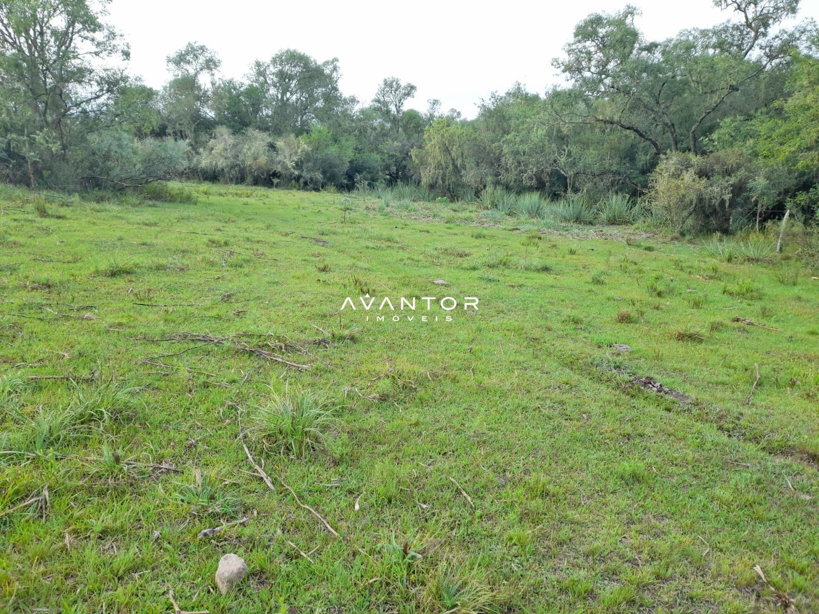 Chácara com 2 quartos à venda em Zona Rural, Lavras do Sul/RS — foto 5 de 13