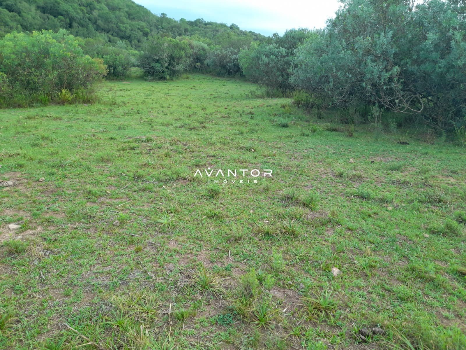 Chácara com 2 quartos à venda em Zona Rural, Lavras do Sul/RS — foto 7 de 13