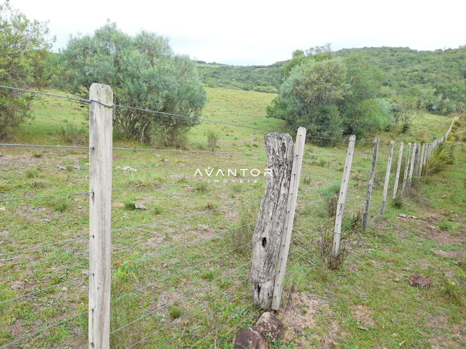 Chácara com 2 quartos à venda em Zona Rural, Lavras do Sul/RS — foto 8 de 13