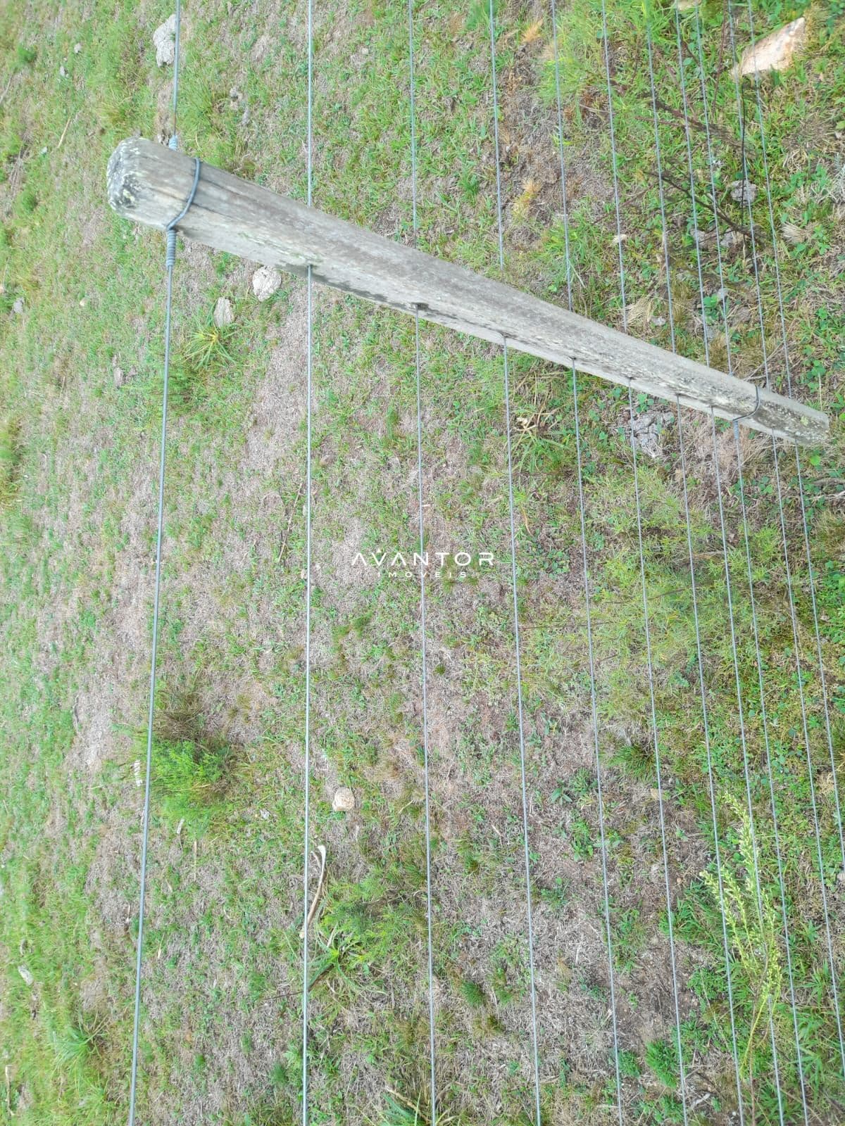 Chácara com 2 quartos à venda em Zona Rural, Lavras do Sul/RS — foto 9 de 13
