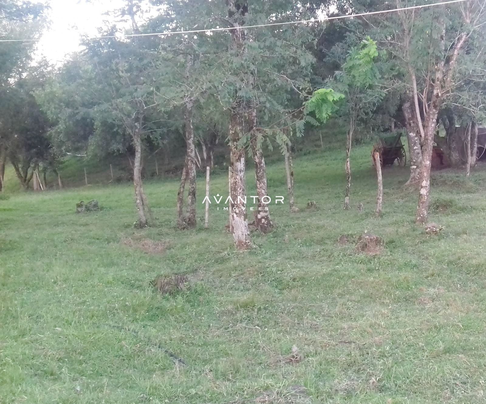 Chácara com 2 quartos à venda em Zona Rural, Lavras do Sul/RS — foto 13 de 13