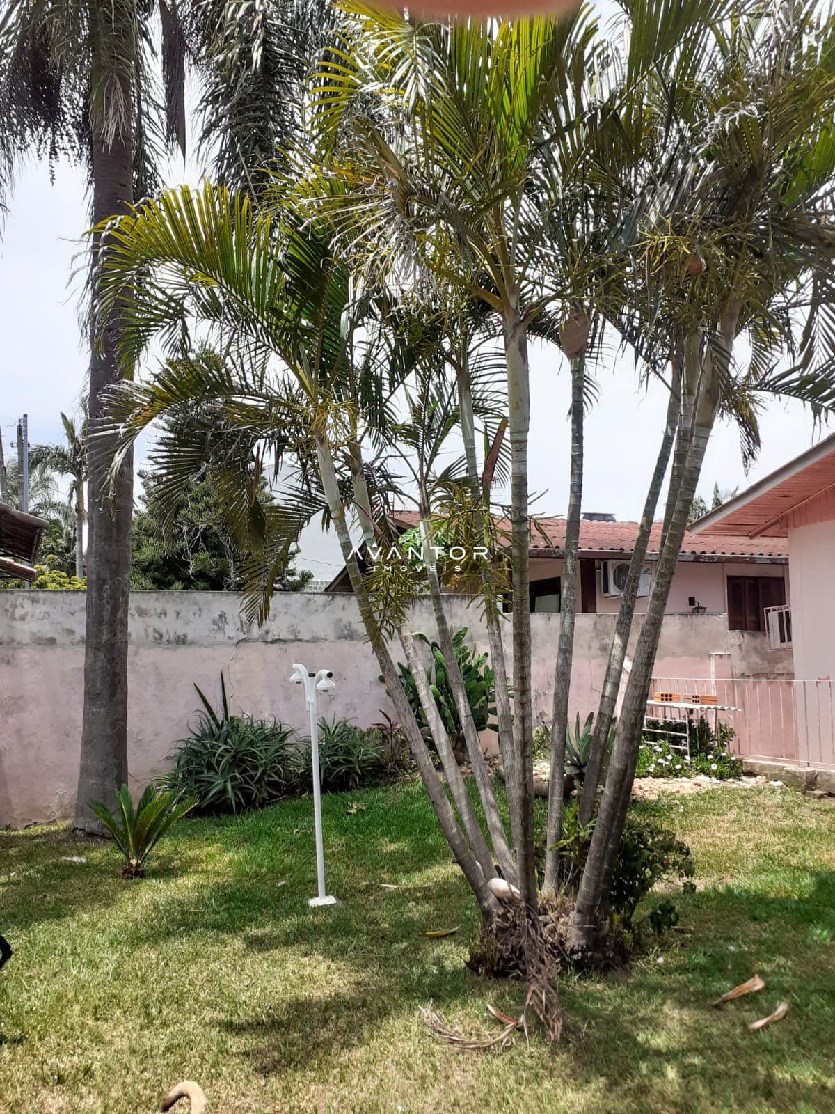 Casa com 4 quartos à venda em São José, Santa Maria/RS — foto 3 de 22