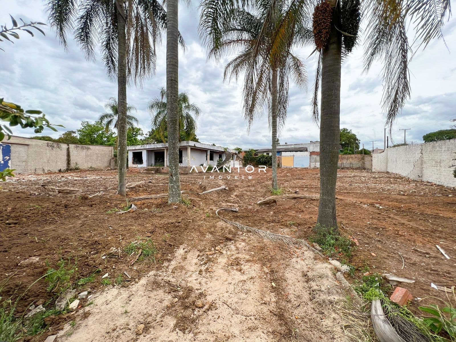 Terreno à venda em Camobi, Santa Maria/RS