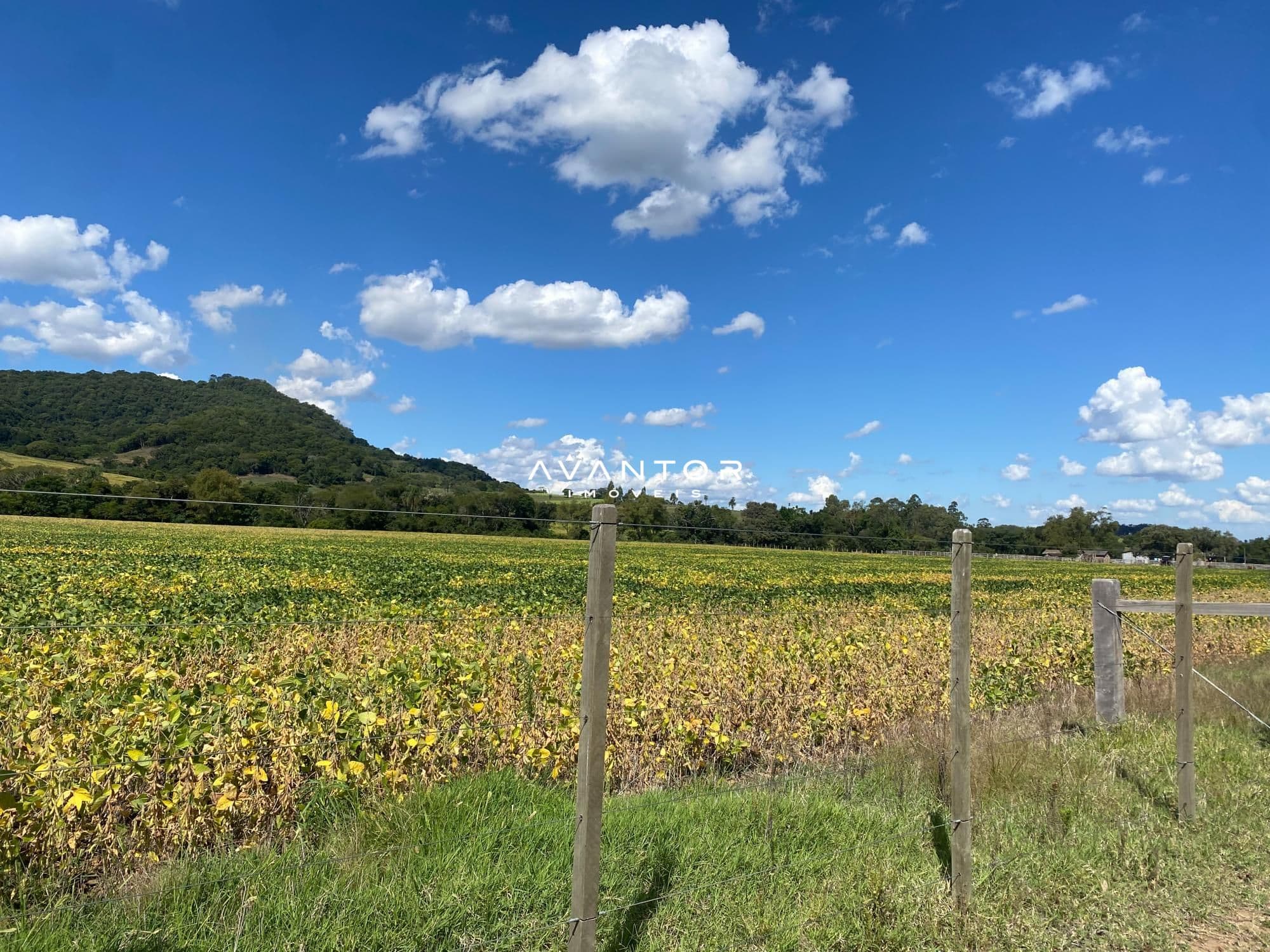 Terreno com vista para plantação e montanhas — Campo à venda em Rural, São Pedro do Sul/RS