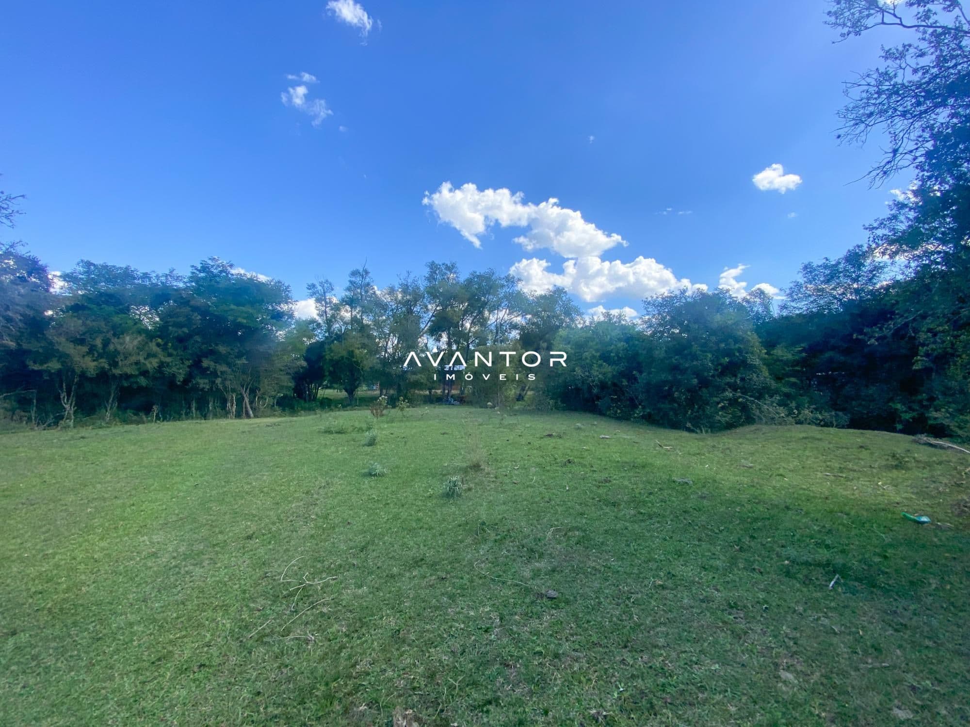 Campo à venda em Rural, São Pedro do Sul/RS — foto 4 de 26