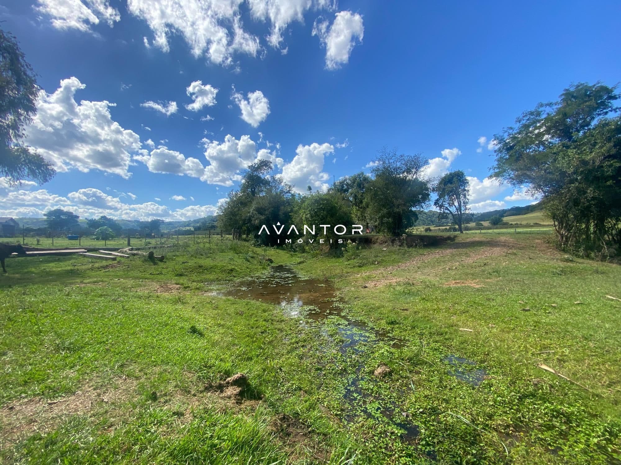Campo à venda em Rural, São Pedro do Sul/RS — foto 5 de 26