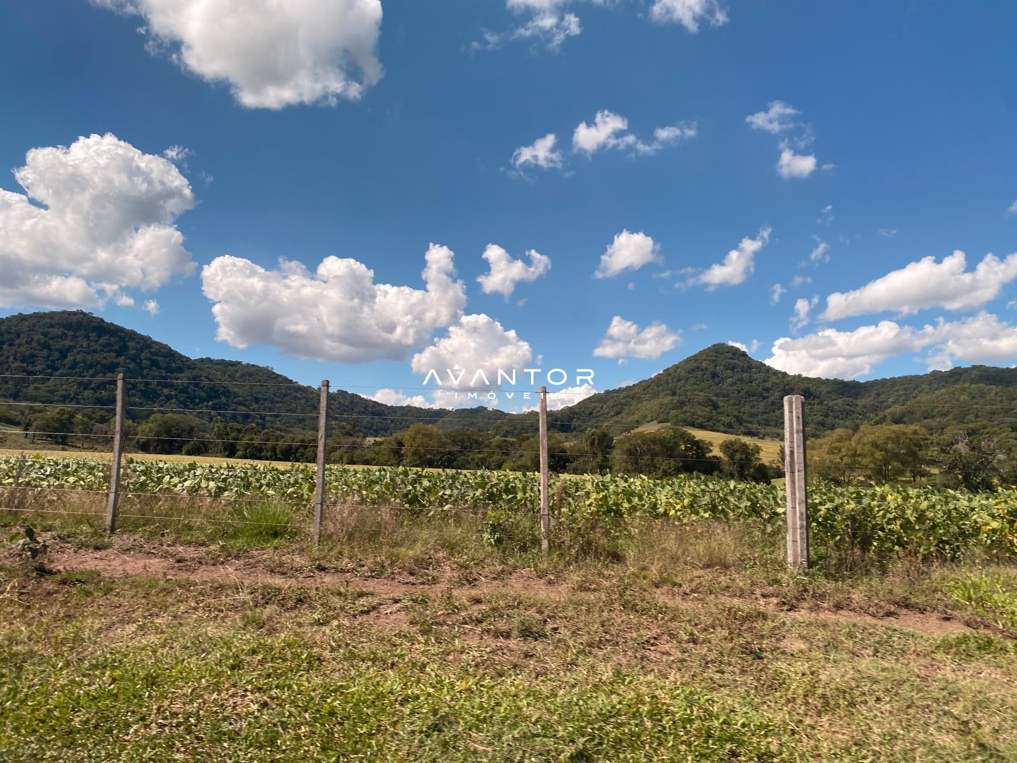 Campo à venda em Rural, São Pedro do Sul/RS — foto 10 de 26