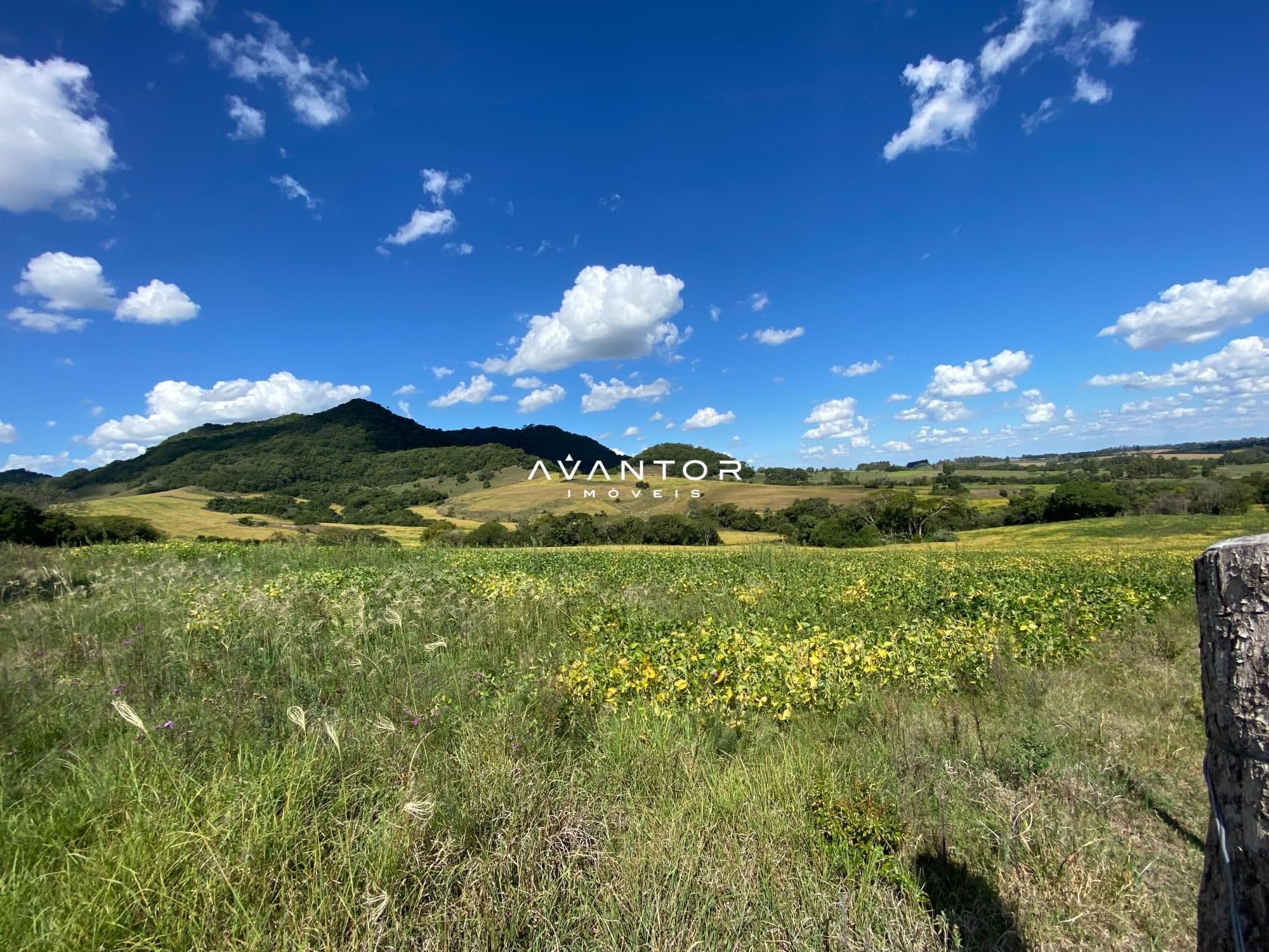 Campo à venda em Rural, São Pedro do Sul/RS — foto 11 de 26