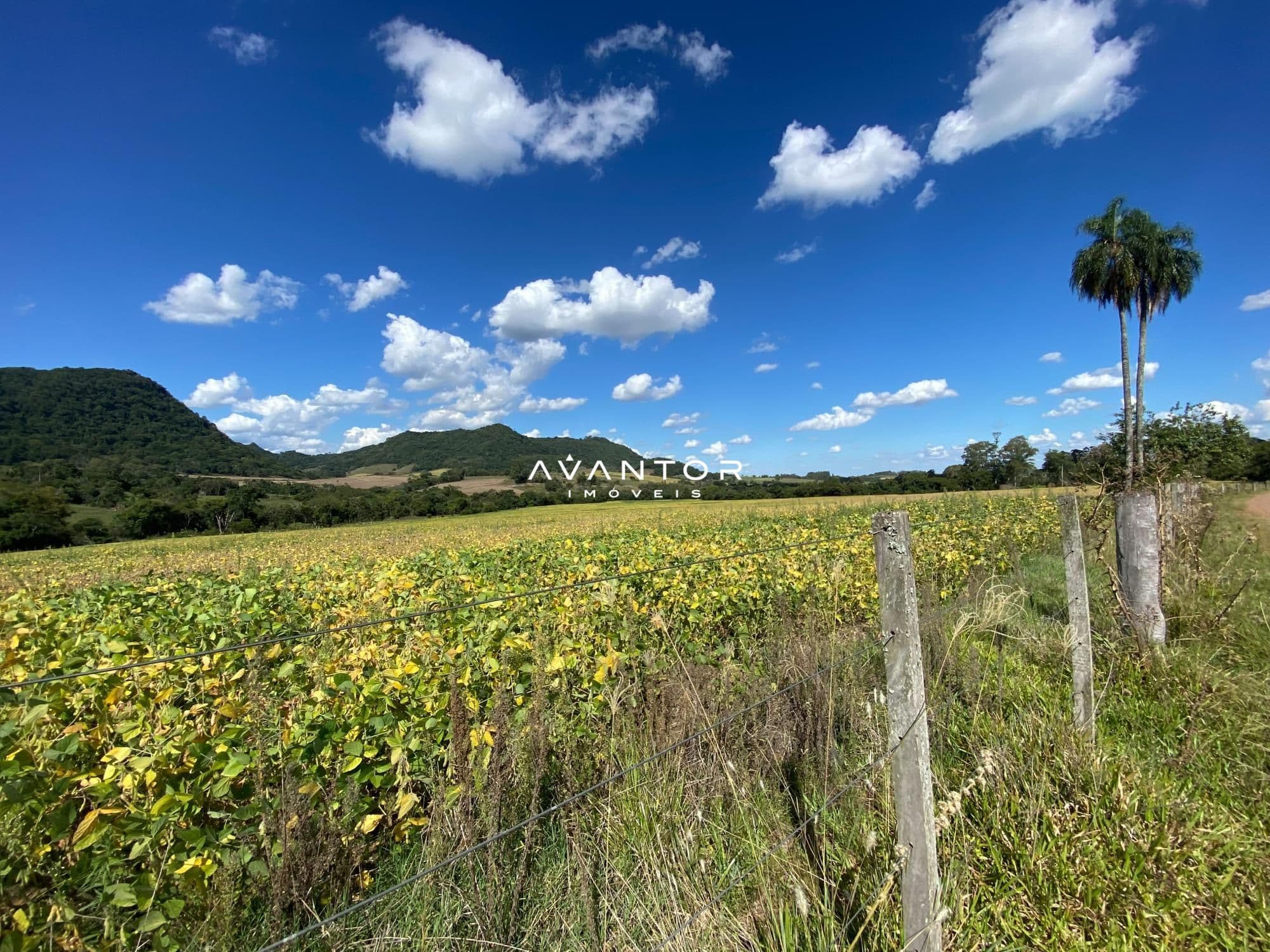 Campo à venda em Rural, São Pedro do Sul/RS — foto 12 de 26