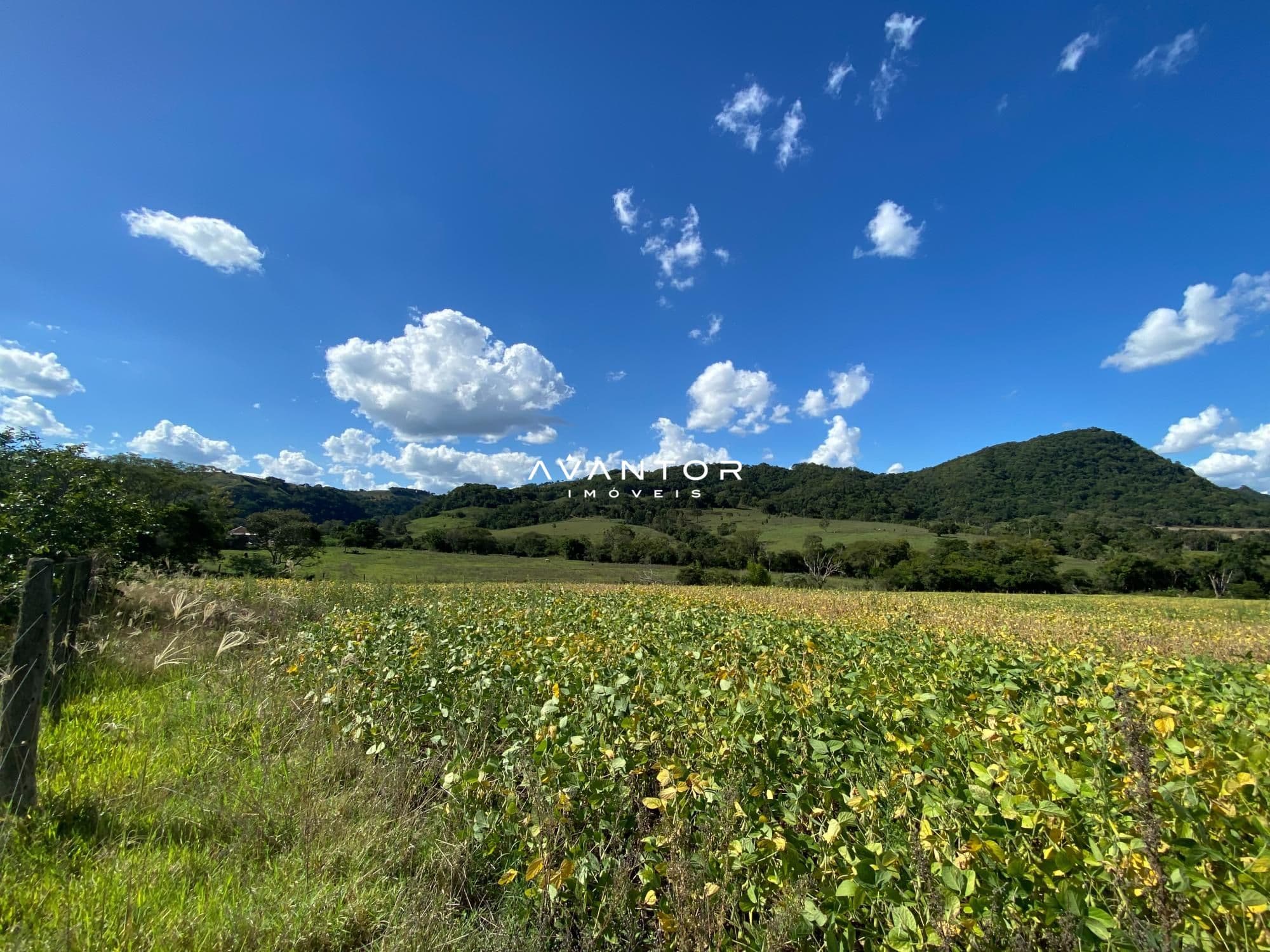 Campo à venda em Rural, São Pedro do Sul/RS — foto 13 de 26