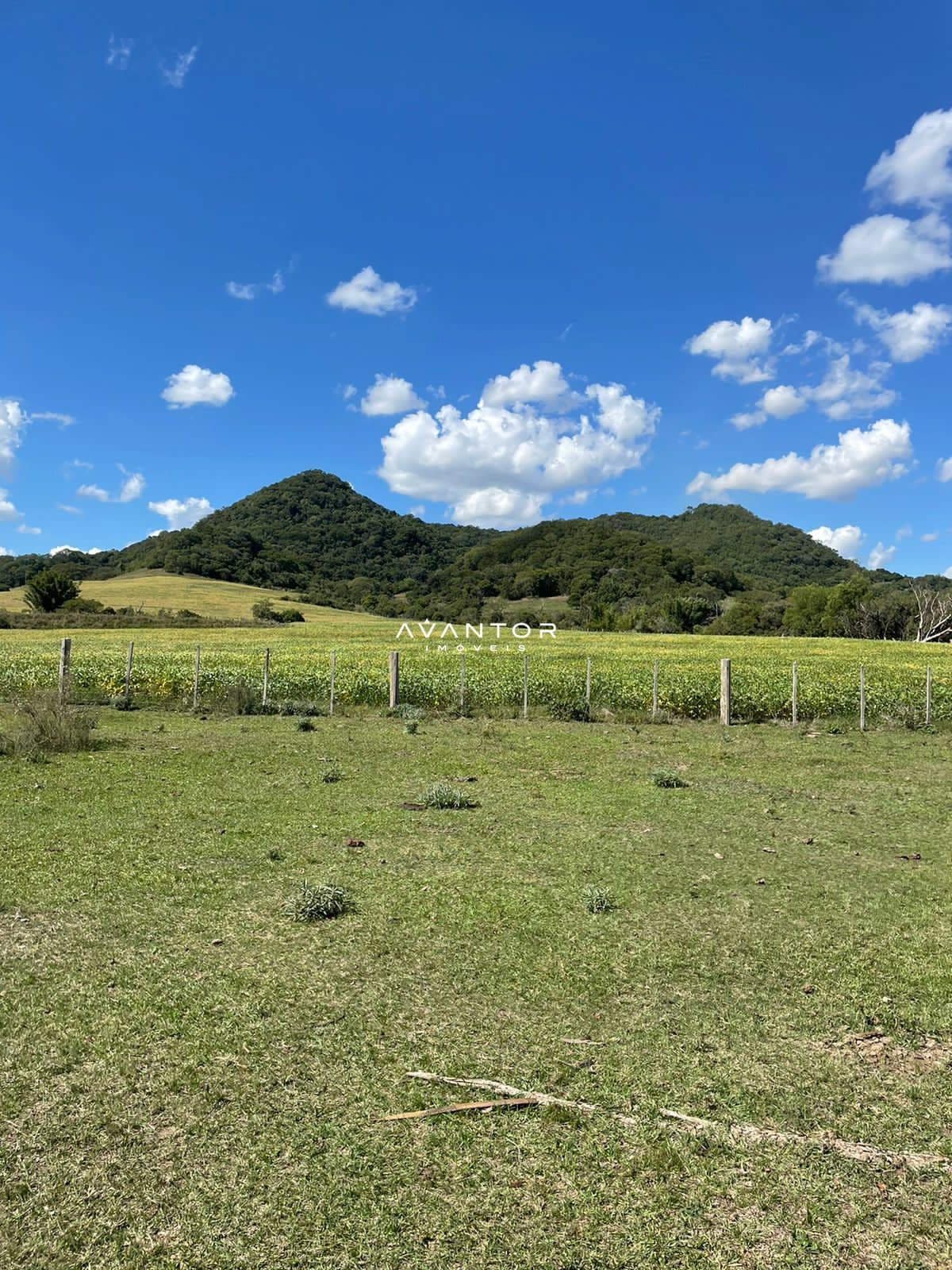 Campo à venda em Rural, São Pedro do Sul/RS — foto 15 de 26