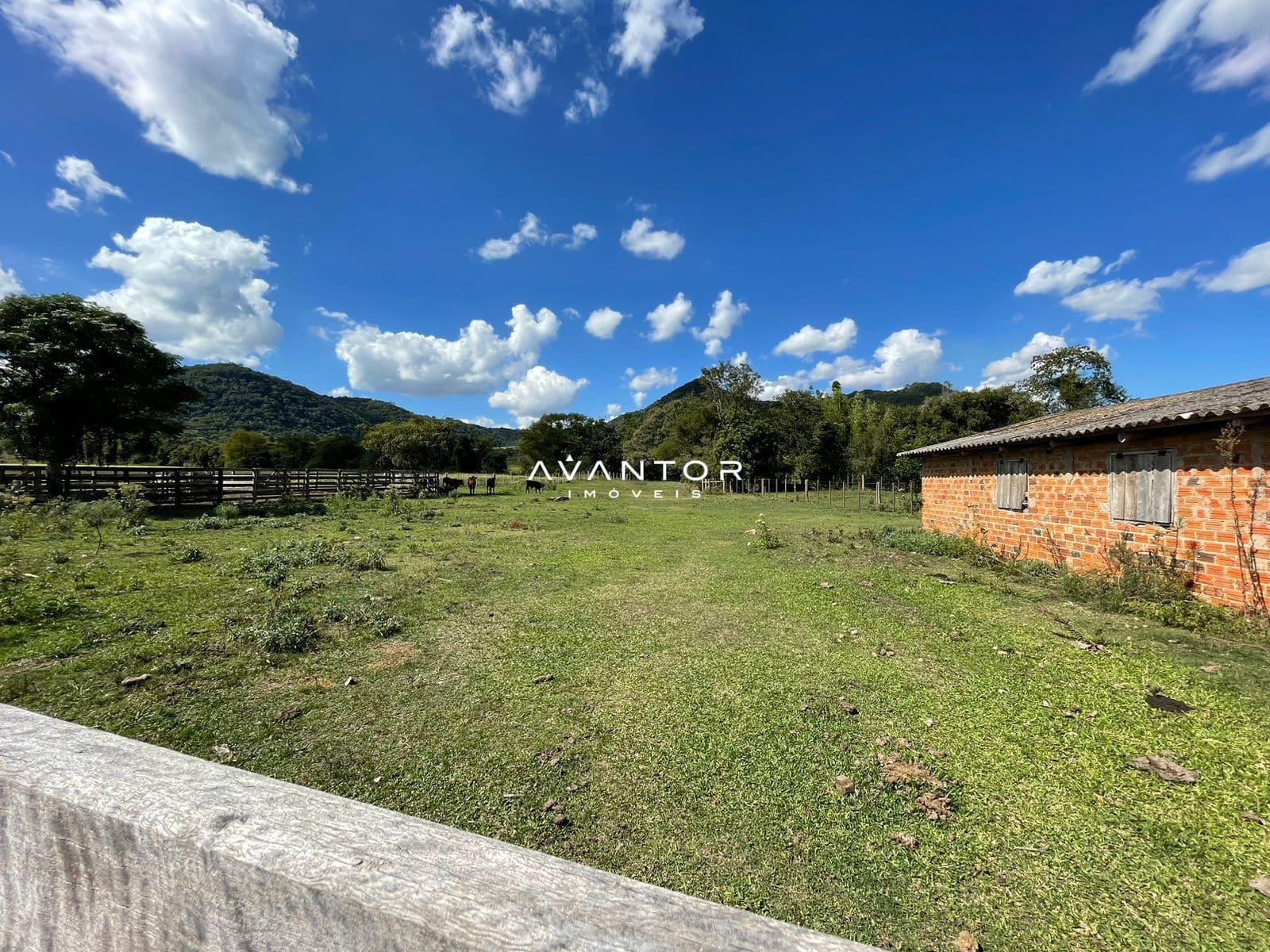 Campo à venda em Rural, São Pedro do Sul/RS — foto 18 de 26