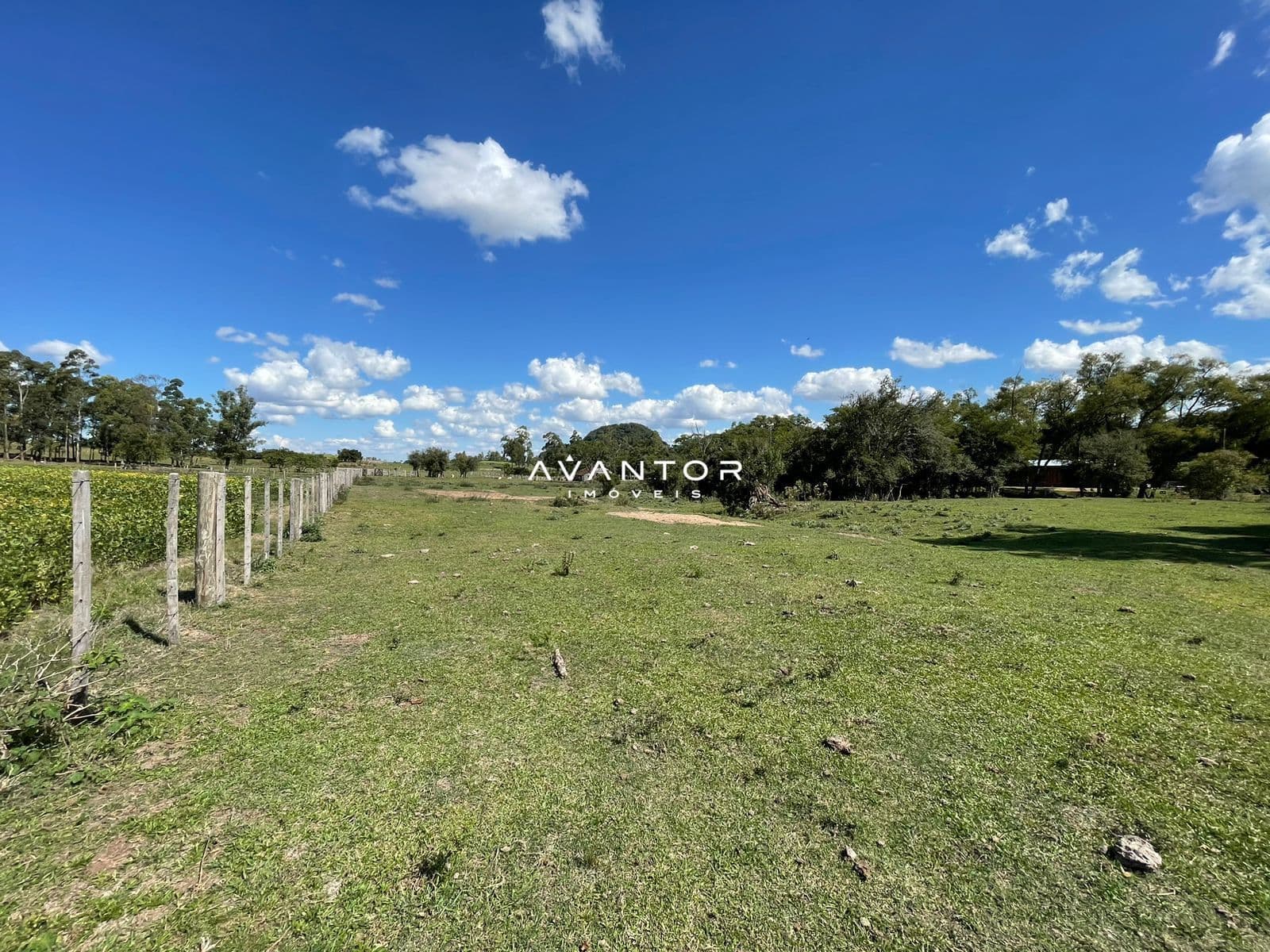 Campo à venda em Rural, São Pedro do Sul/RS — foto 19 de 26